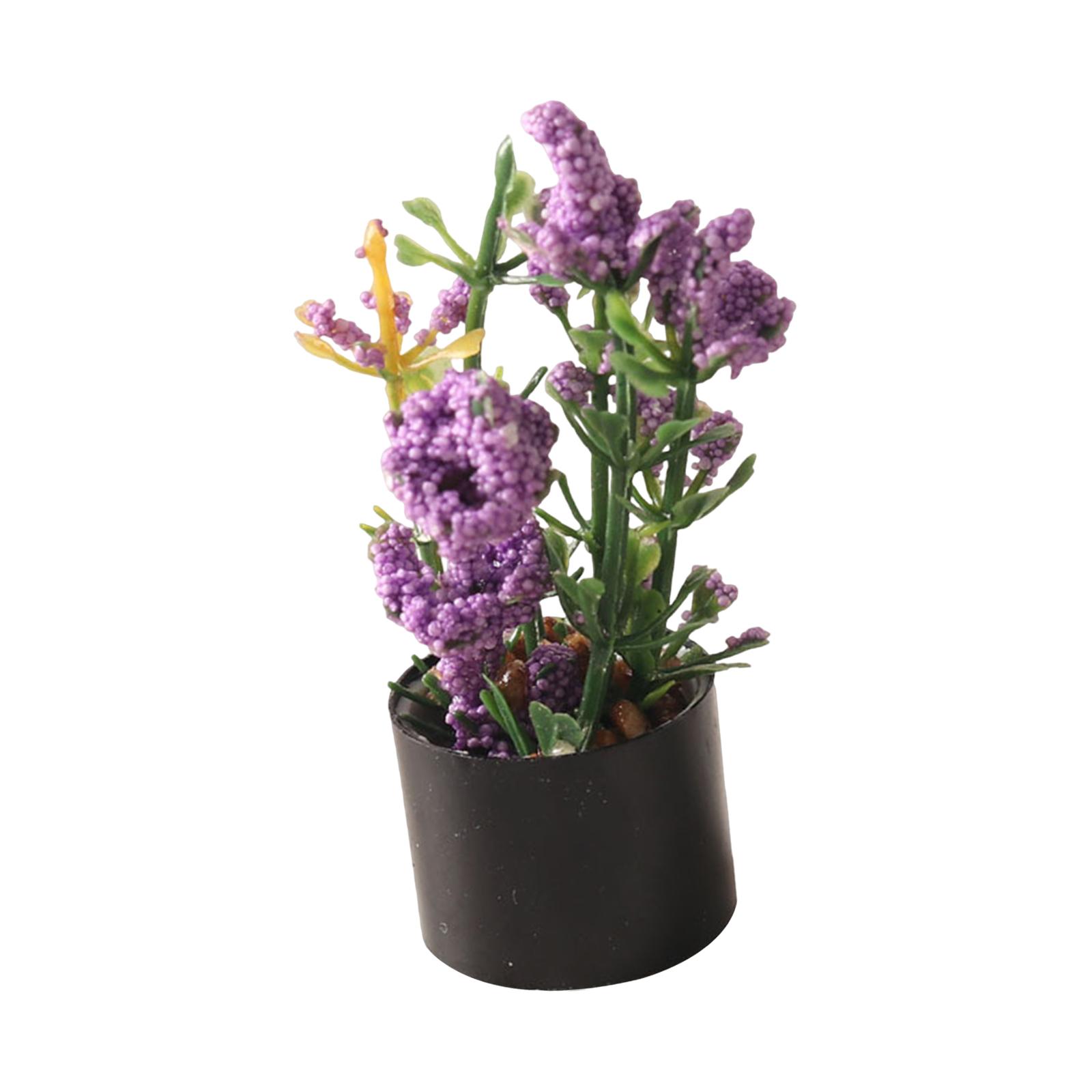 1/12 Miniature Flower Bonsai O - Bonsai Garden Photos ulasan dan harga