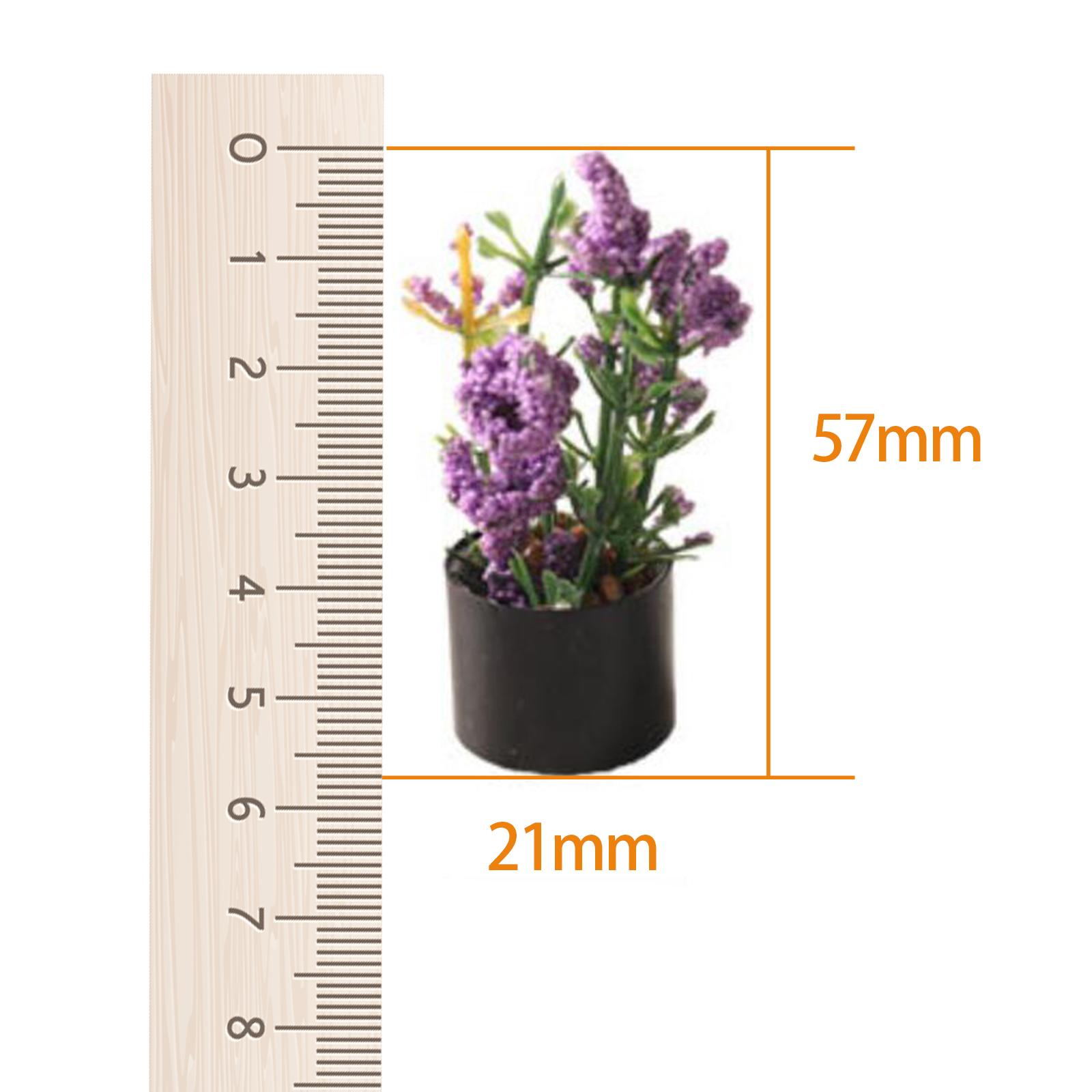 1/12 Miniature Flower Bonsai O - Bonsai Garden Photos ulasan dan harga