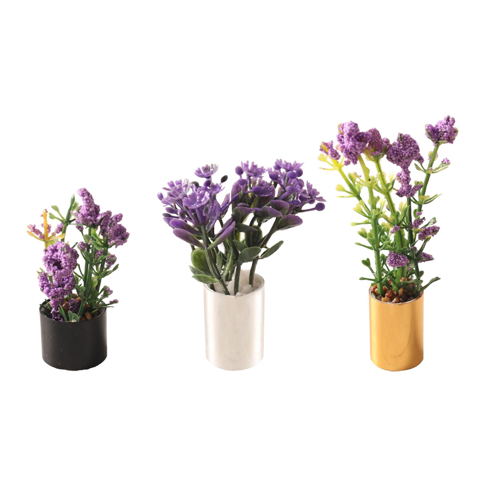 1/12 Miniature Flower Bonsai O - Bonsai Garden Photos ulasan dan harga