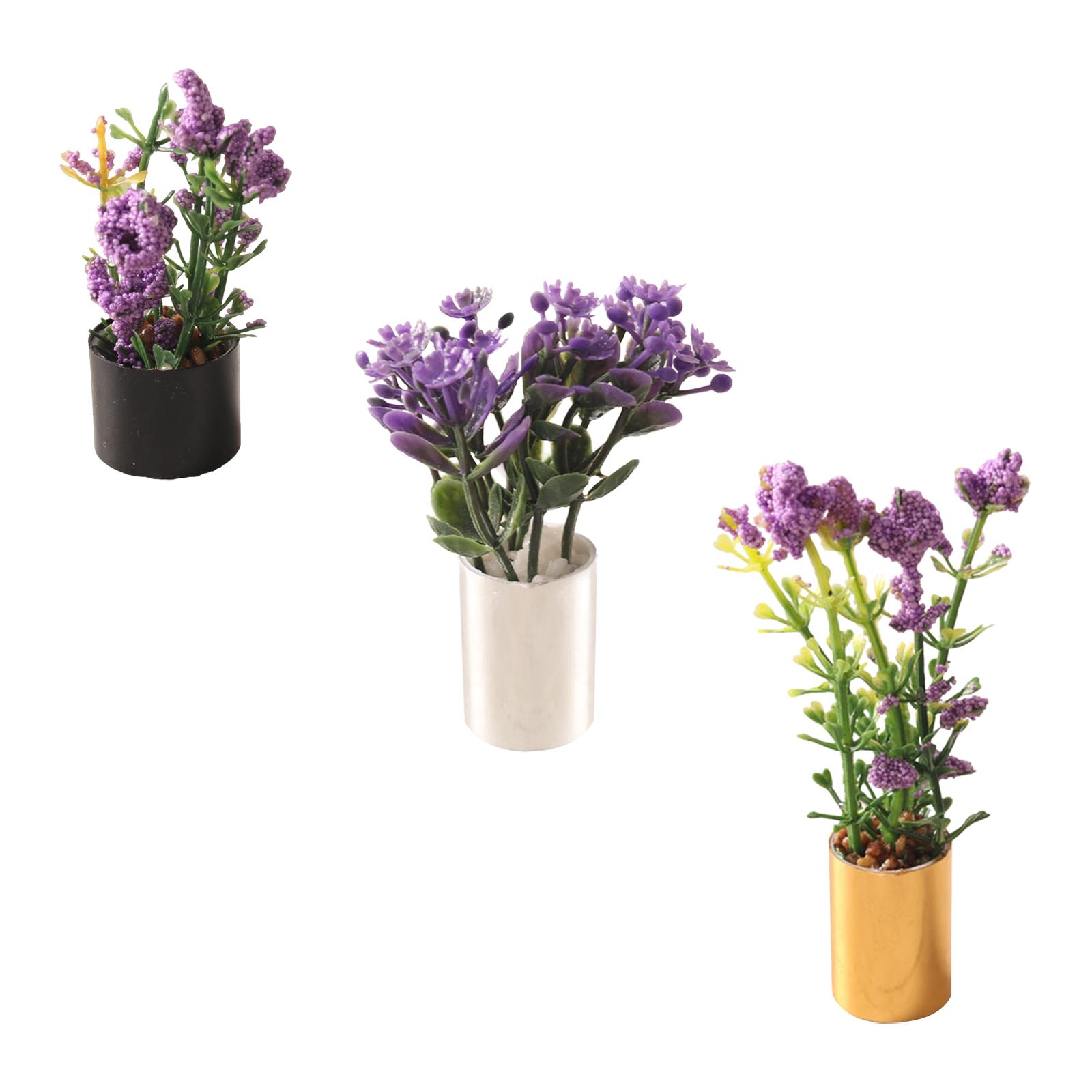 1/12 Miniature Flower Bonsai O - Bonsai Garden Photos ulasan dan harga