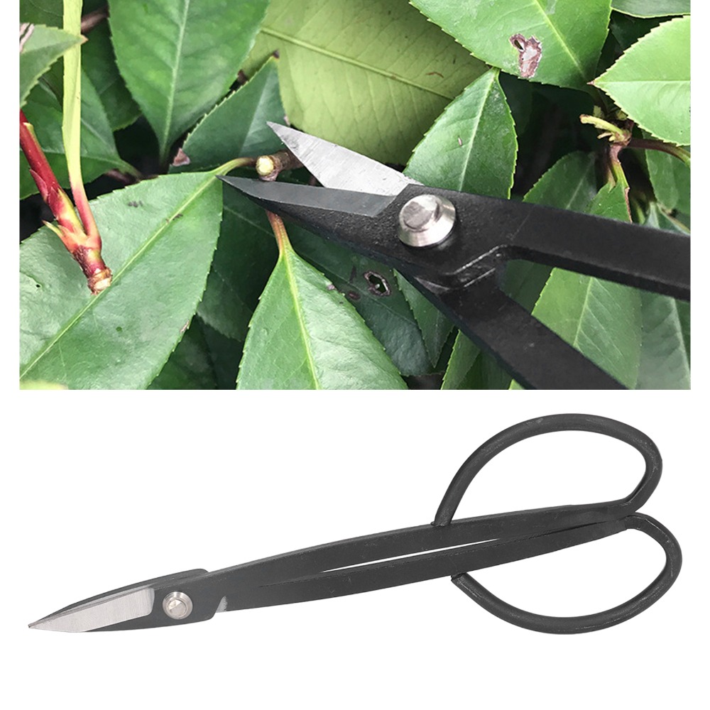 Stainless Steel Bonsai Scissor - Concave Branch Cutter ulasan dan harga