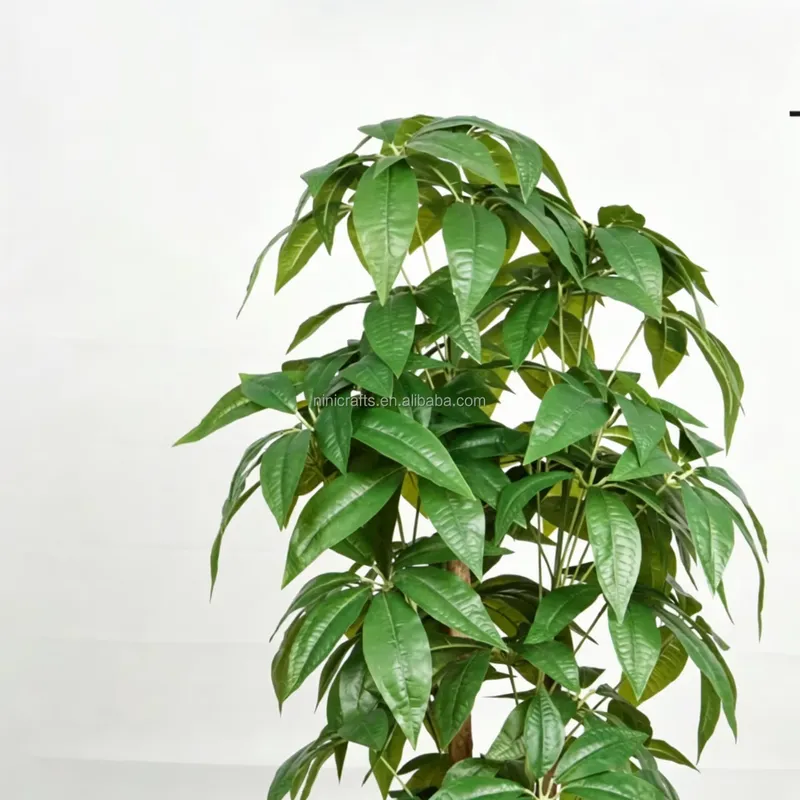 Hot Sale Nordic Style Indoor D - Bonsai Garden For Sale ulasan dan harga
