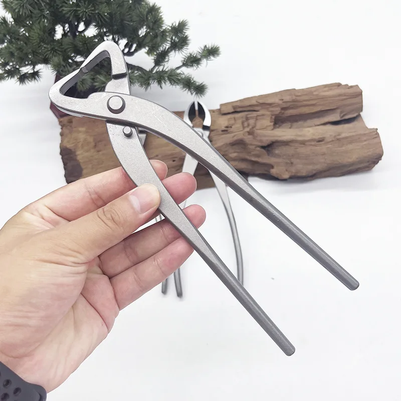 1pcs Stainless Steel Bonsai Pr - Concave Branch Cutter ulasan dan harga