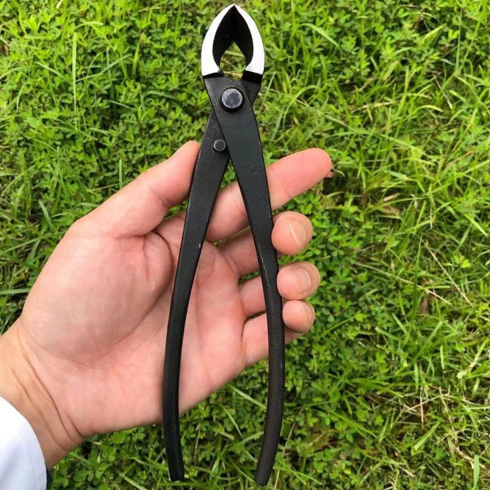 Bonsai Concave Branch Cutter M - Concave Branch Cutter ulasan dan harga