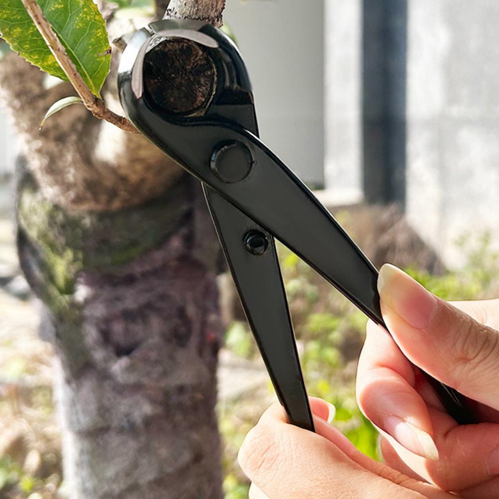 Bonsai Concave Branch Cutter M - Concave Branch Cutter ulasan dan harga