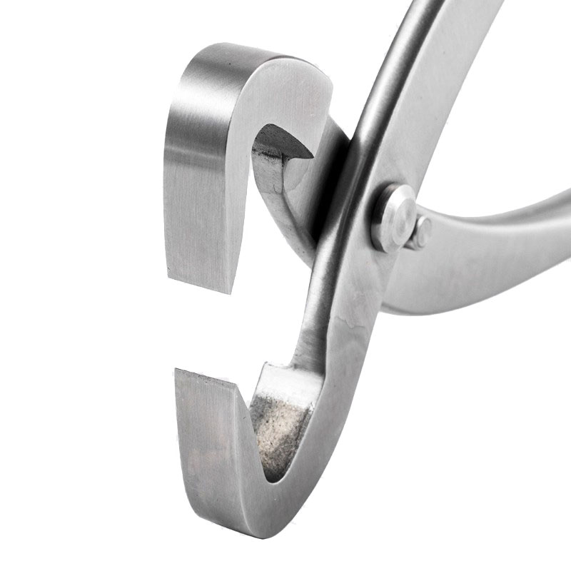 2pcs 210mm Stainless Steel Bon - Concave Branch Cutter ulasan dan harga